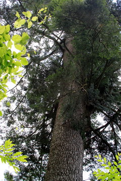 f:id:samuraiRed:20100612123816j:image f:id:samuraiRed:20100612123816j:image