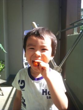 f:id:samuraiRed:20100728071410j:image