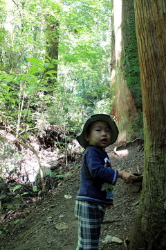 f:id:samuraiRed:20100926102446j:image