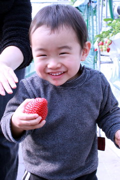 f:id:samuraiRed:20110206101452j:image