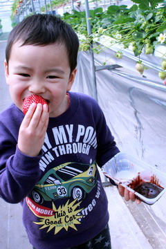 f:id:samuraiRed:20110206102220j:image