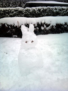 f:id:samuraiRed:20110212112526j:image