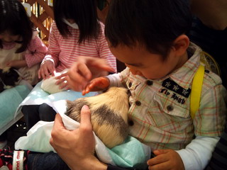 f:id:samuraiRed:20110416103146j:image