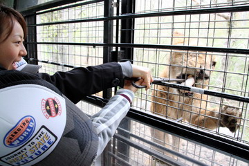 f:id:samuraiRed:20110506092858j:image