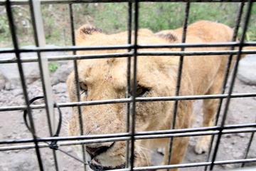 f:id:samuraiRed:20110506093156j:image