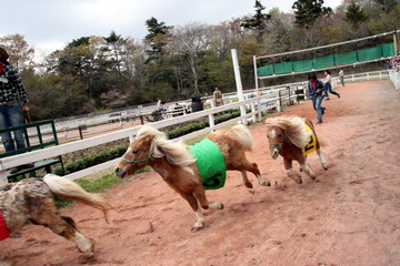 f:id:samuraiRed:20110506131700j:image