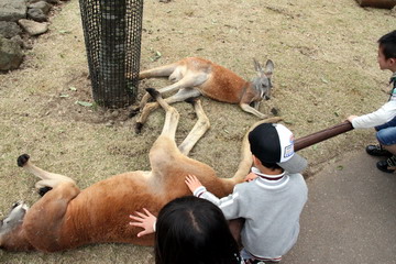 f:id:samuraiRed:20110506133248j:image