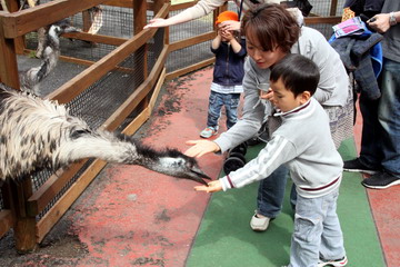 f:id:samuraiRed:20110506141326j:image