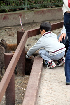 f:id:samuraiRed:20110506141858j:image