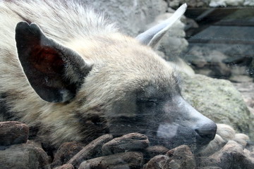 f:id:samuraiRed:20110506142815j:image