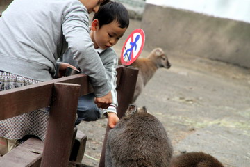 f:id:samuraiRed:20110506144842j:image