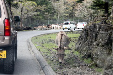 f:id:samuraiRed:20110506154642j:image