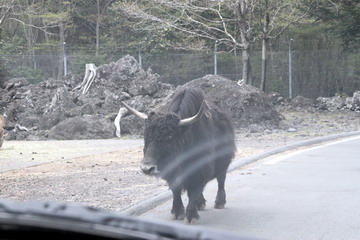 f:id:samuraiRed:20110506162735j:image