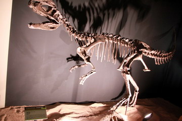 f:id:samuraiRed:20120901110329j:image