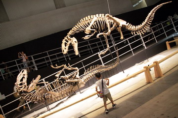f:id:samuraiRed:20120901113751j:image