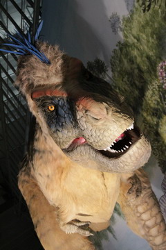 f:id:samuraiRed:20120901120116j:image