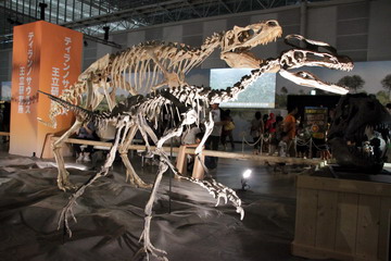f:id:samuraiRed:20120901122809j:image