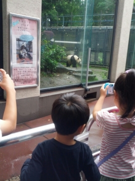 f:id:samuraiRed:20130616103828j:image