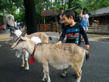 f:id:samuraiRed:20130616125646j:image