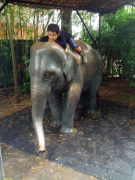f:id:samuraiRed:20130616141714j:image
