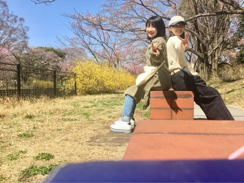 f:id:samuraibomb:20210415082224j:plain