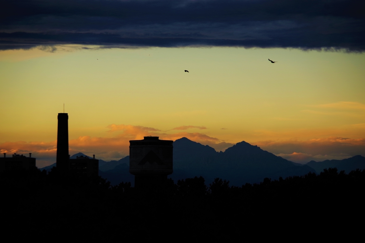 f:id:samurailevski:20210808153151j:plain