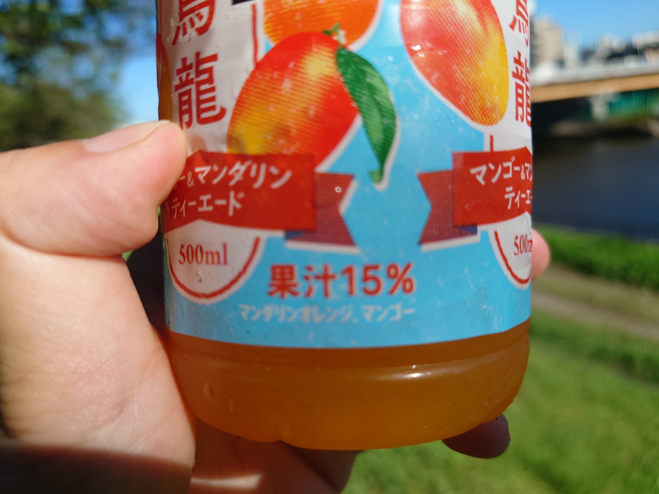 マンゴーの華やかな風味とちょい烏龍茶「サントリー烏龍茶 好烏龍」が9/5新発売!【感想】 - チェア活!〜チェアリングの記事を毎週更新中!〜