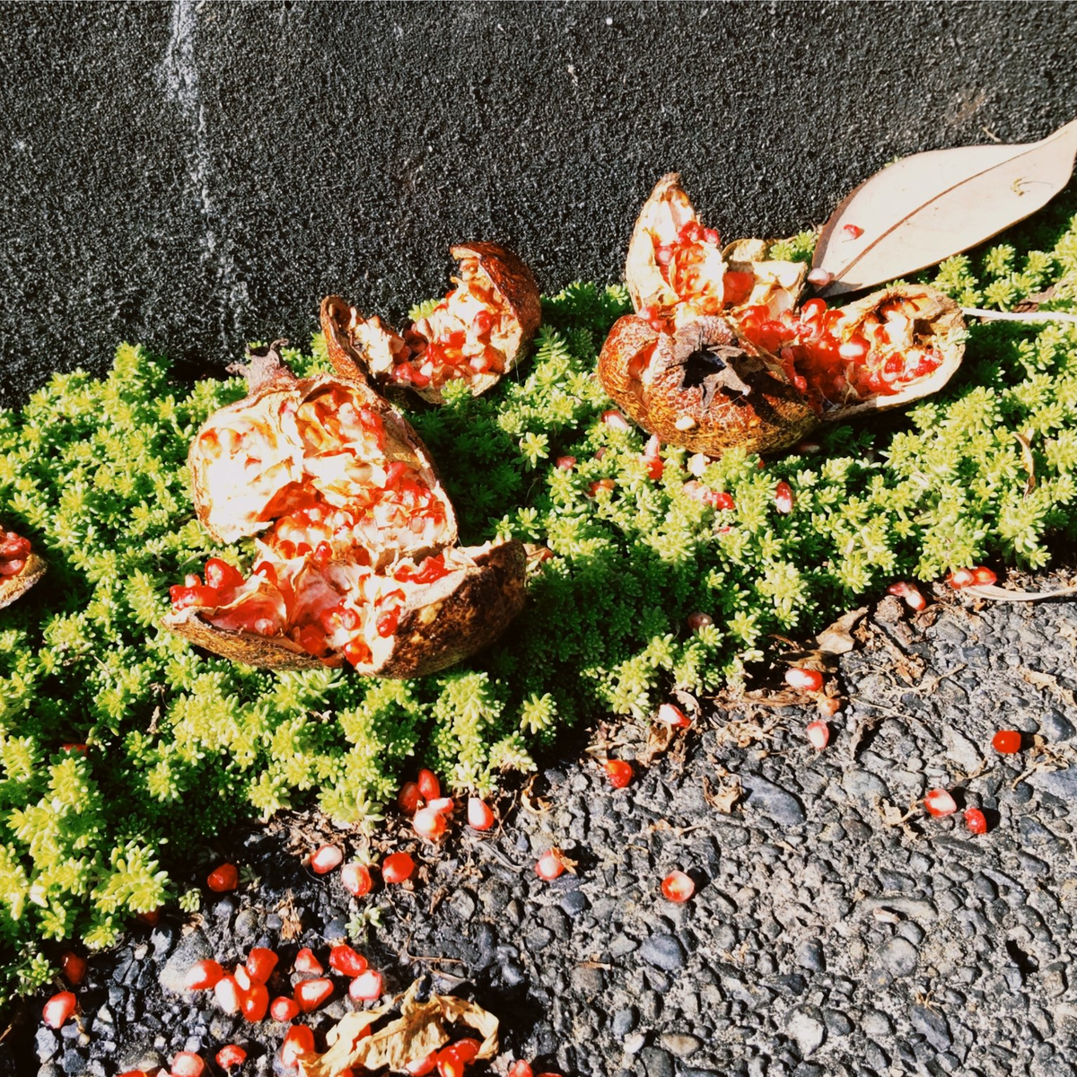 f:id:samuro2221:20211116131158p:plain