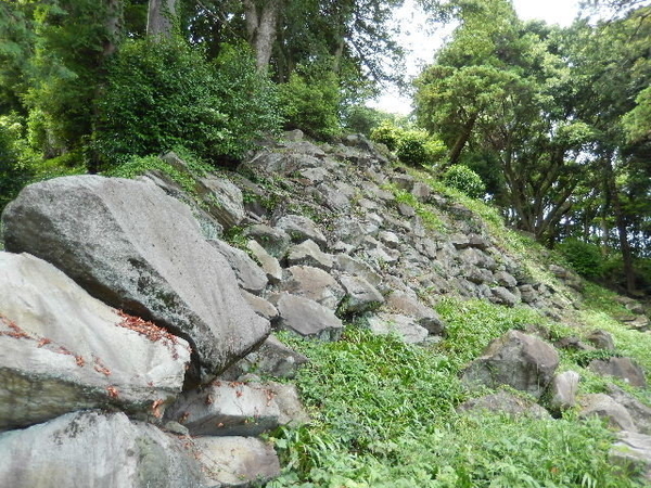 f:id:san-nin-syu:20200527060132j:plain f:id:san-nin-syu:20200527060132j:plain