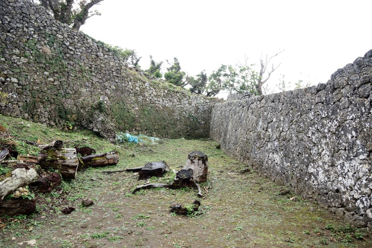 f:id:san-nin-syu:20200625120458j:plain f:id:san-nin-syu:20200625120458j:plain