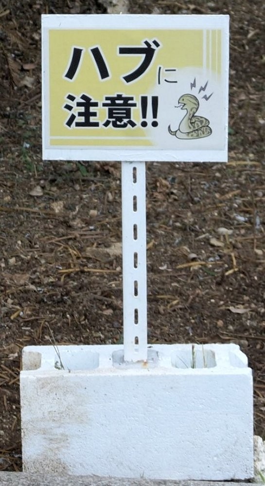 f:id:san-nin-syu:20200626103339j:plain f:id:san-nin-syu:20200626103339j:plain