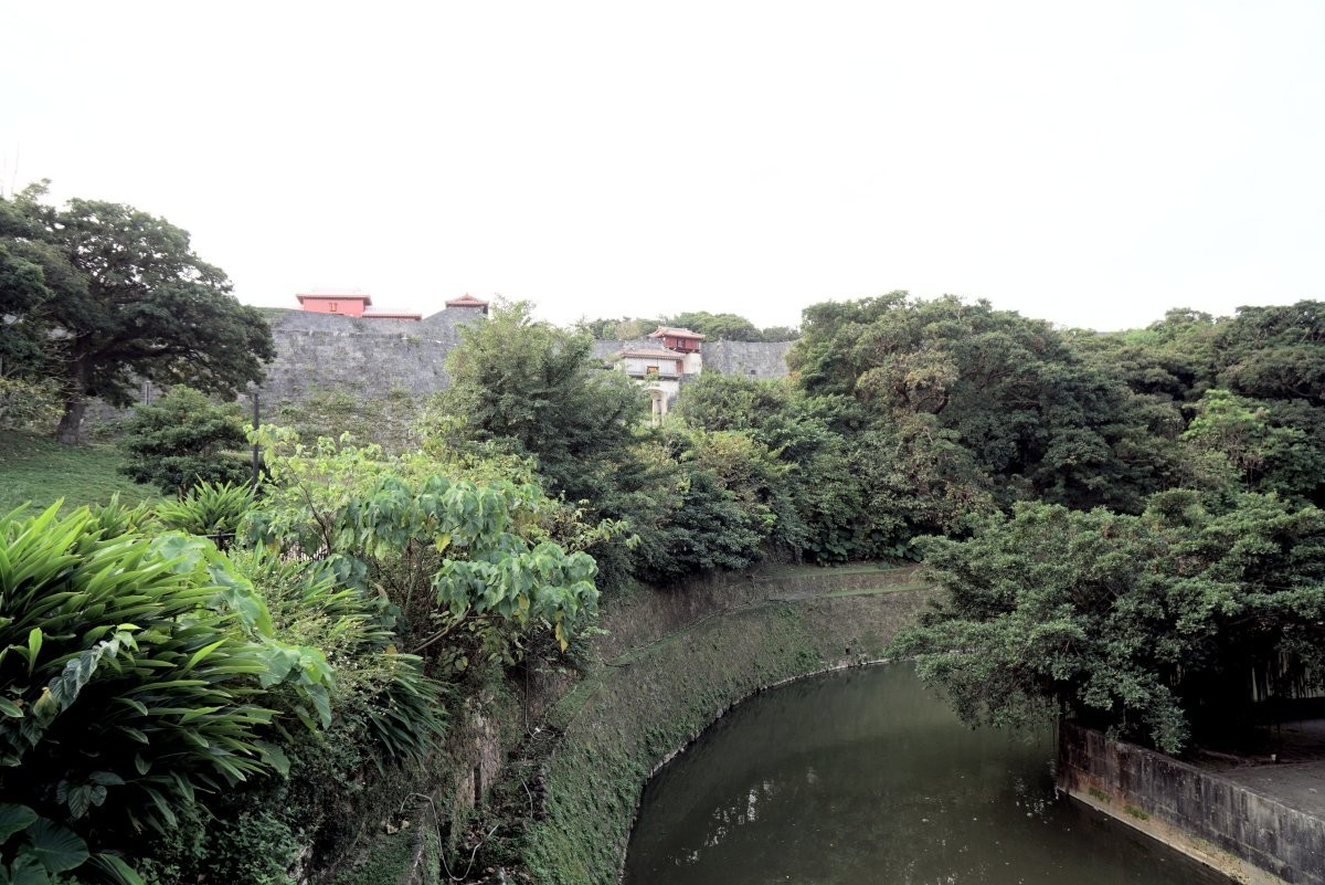 f:id:san-nin-syu:20200701115259j:plain f:id:san-nin-syu:20200701115259j:plain