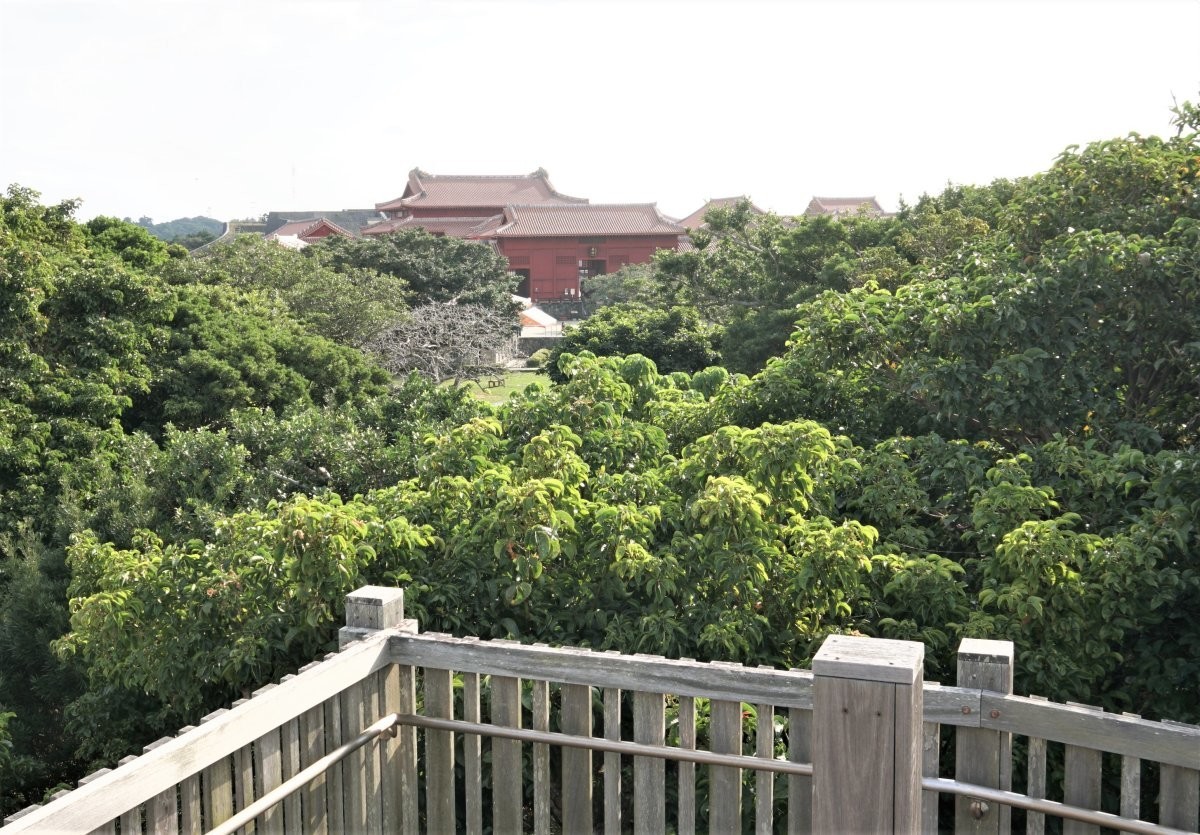 f:id:san-nin-syu:20200704181829j:plain f:id:san-nin-syu:20200704181829j:plain