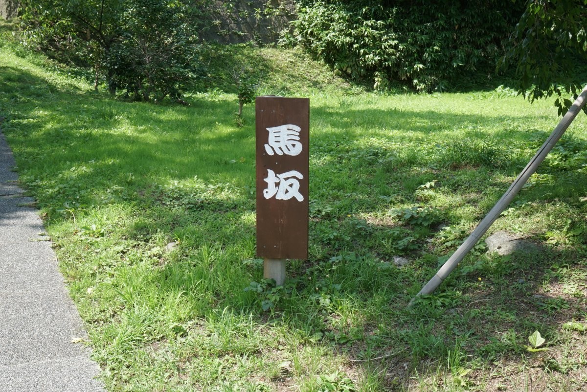 f:id:san-nin-syu:20200722081107j:plain f:id:san-nin-syu:20200722081107j:plain