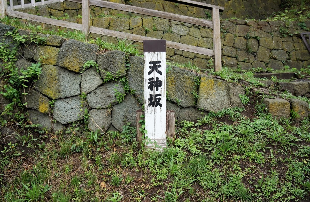 f:id:san-nin-syu:20200722081402j:plain f:id:san-nin-syu:20200722081402j:plain