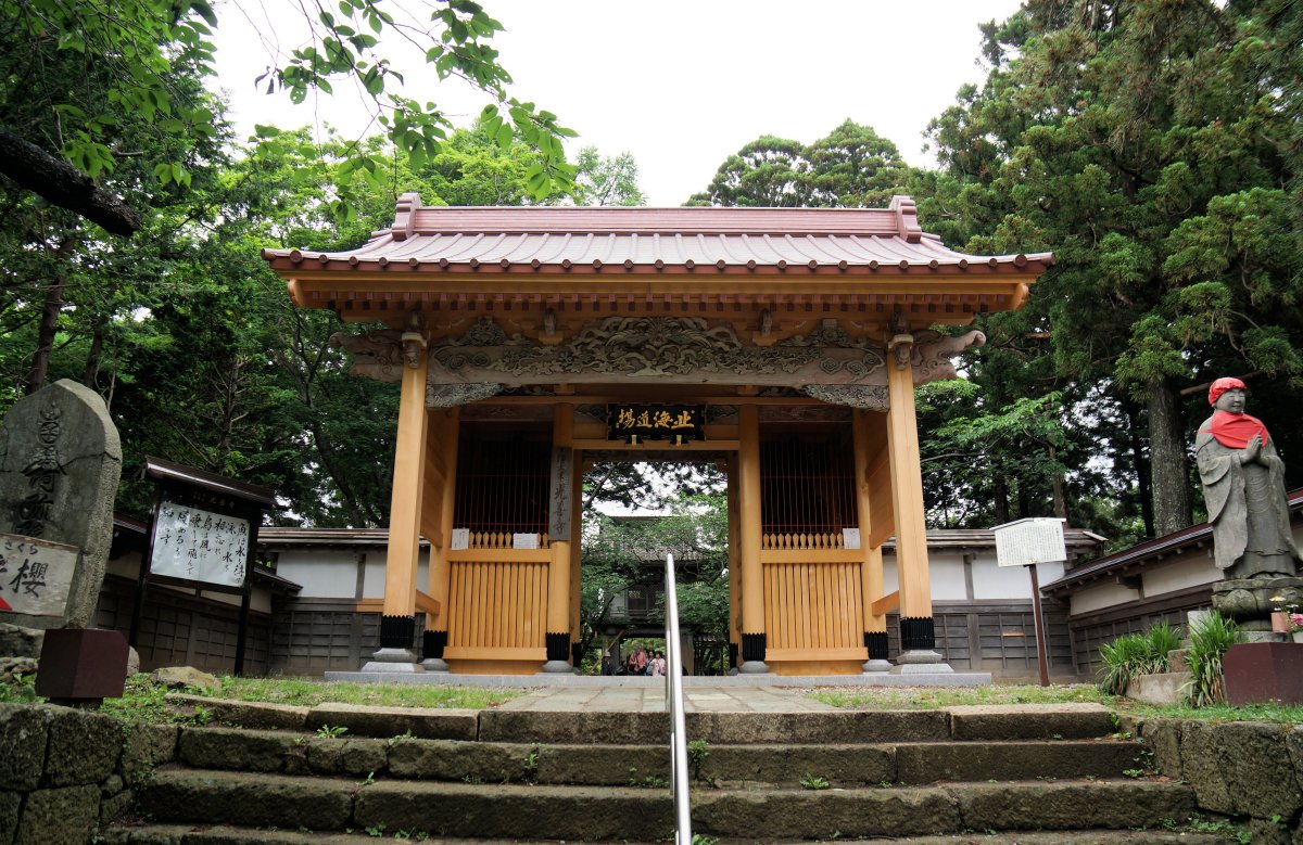 f:id:san-nin-syu:20200724155720j:plain f:id:san-nin-syu:20200724155720j:plain