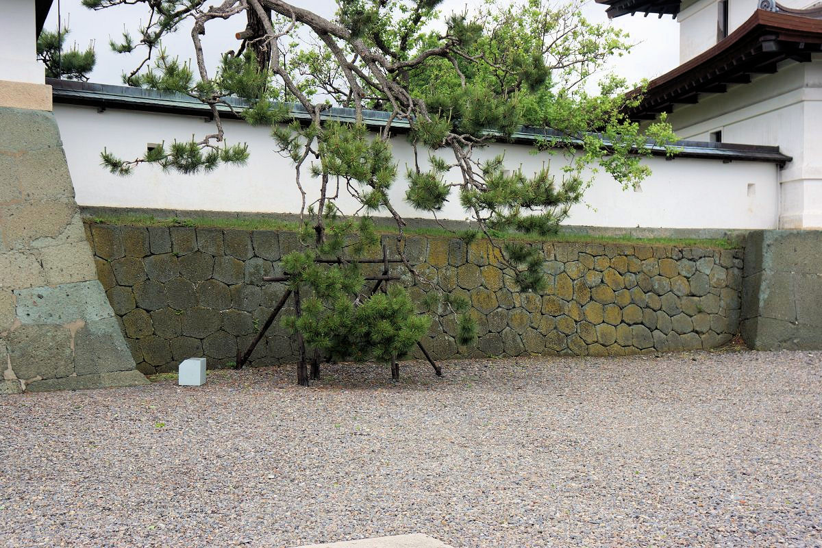 f:id:san-nin-syu:20200725192135j:plain