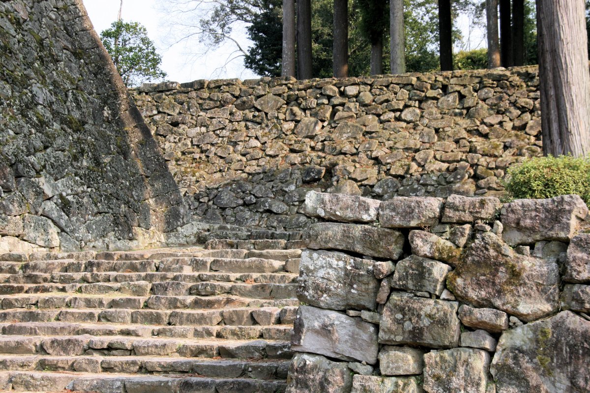 f:id:san-nin-syu:20200725220110j:plain