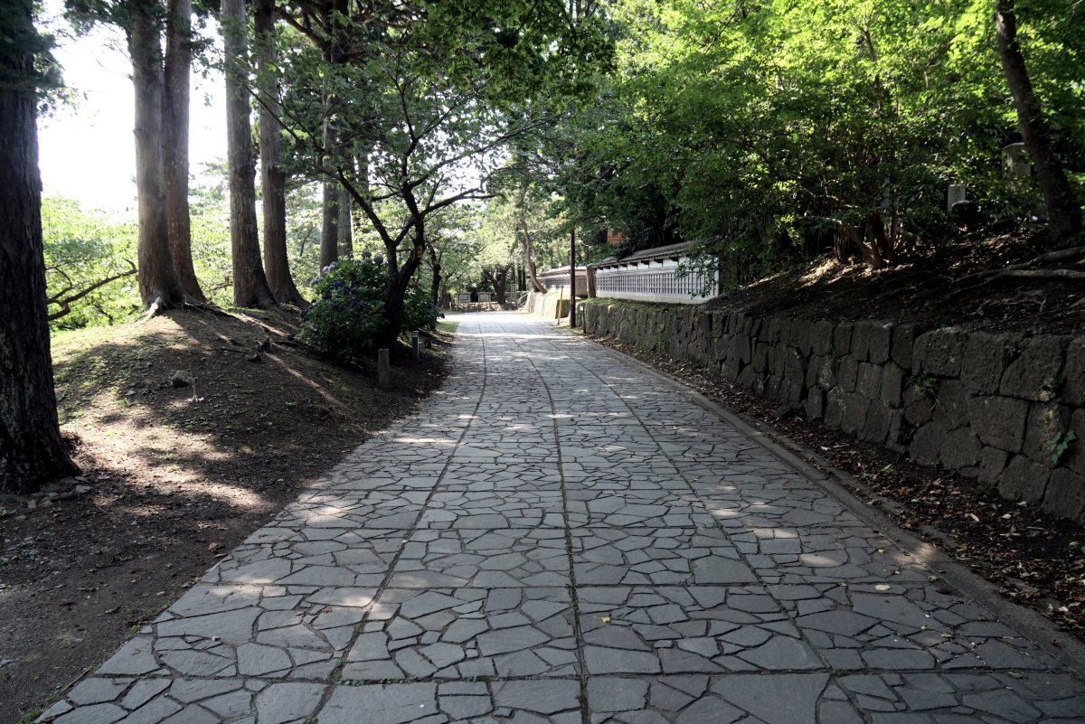 f:id:san-nin-syu:20200729142058j:plain