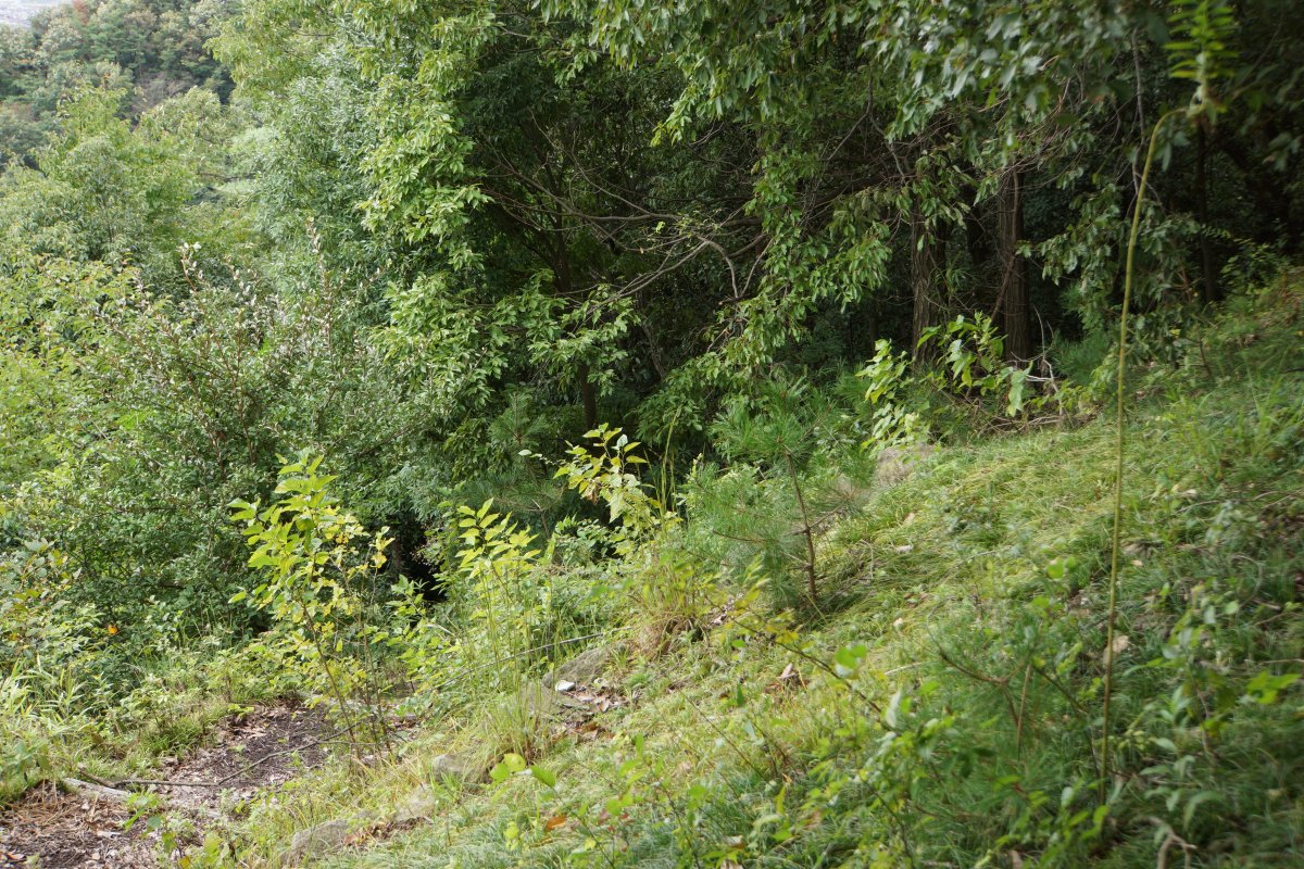 f:id:san-nin-syu:20200803113301j:plain f:id:san-nin-syu:20200803113301j:plain