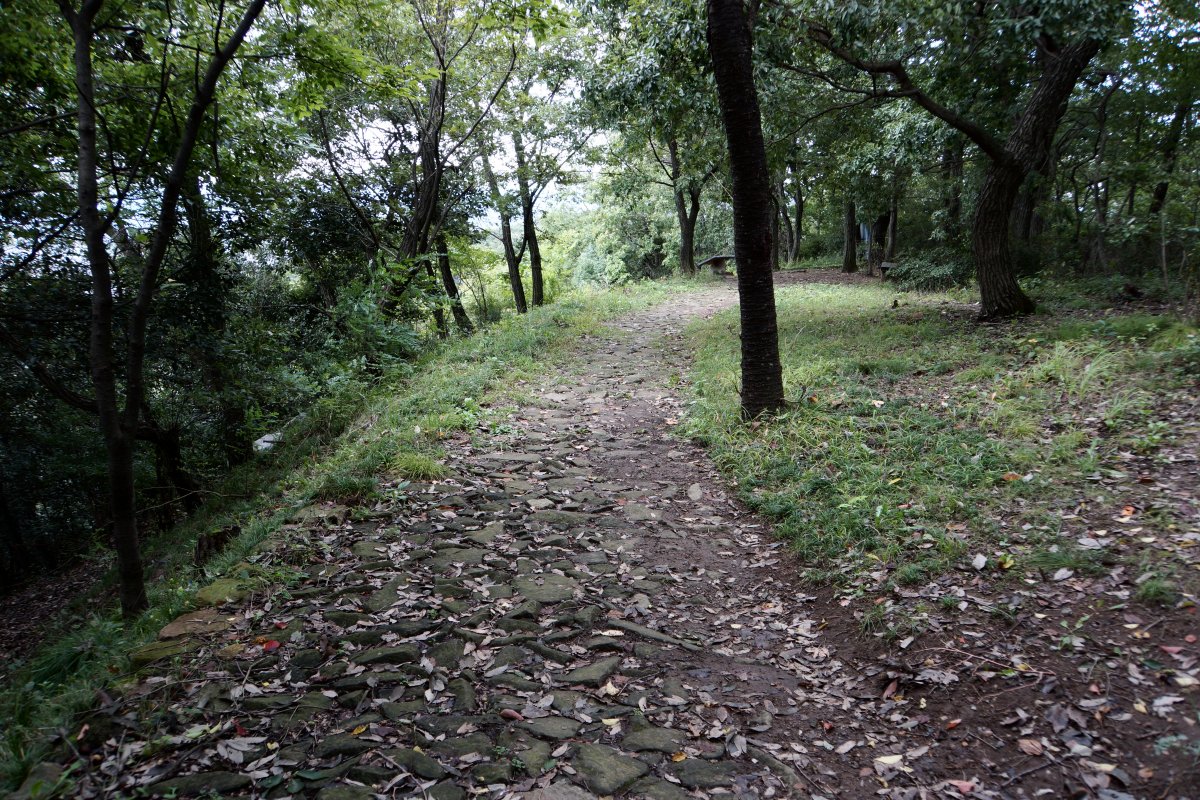 f:id:san-nin-syu:20200803113545j:plain f:id:san-nin-syu:20200803113545j:plain