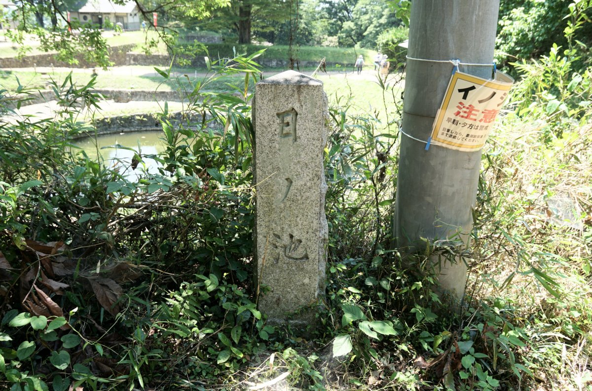 f:id:san-nin-syu:20200808081545j:plain f:id:san-nin-syu:20200808081545j:plain