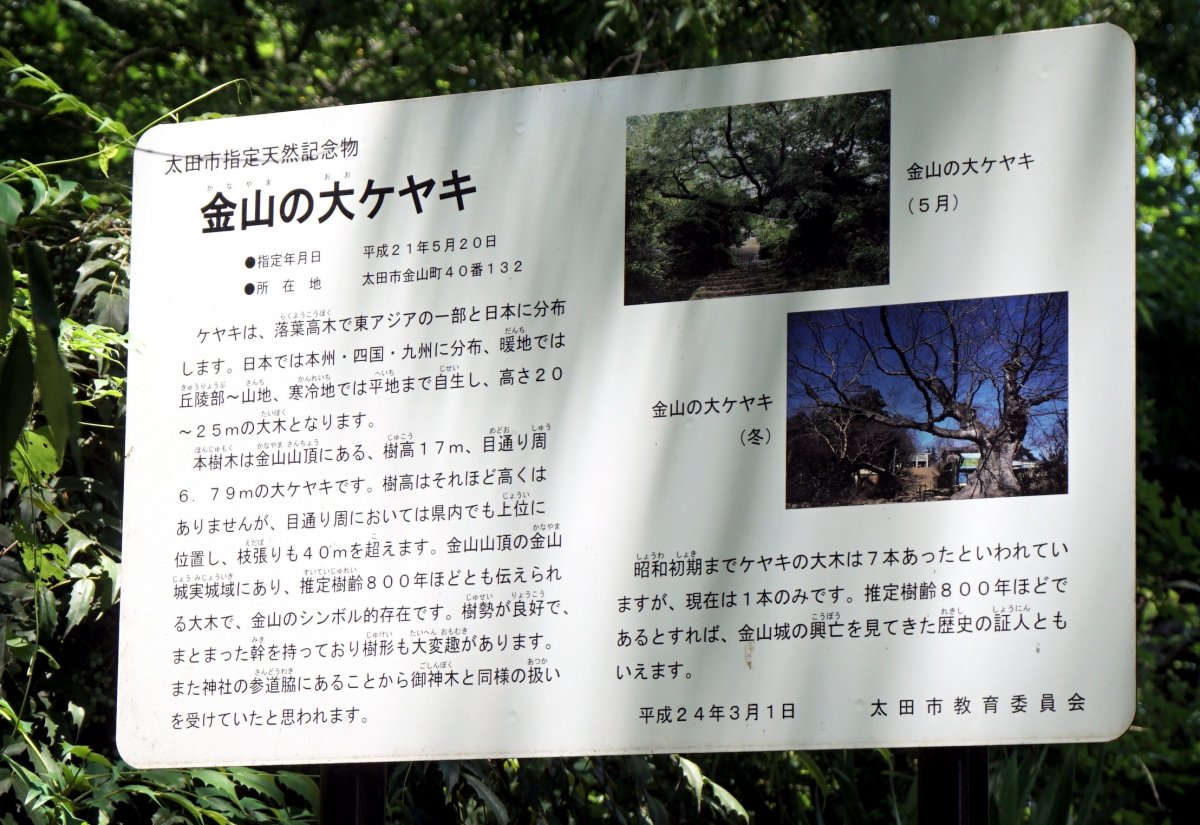 f:id:san-nin-syu:20200808082004j:plain f:id:san-nin-syu:20200808082004j:plain