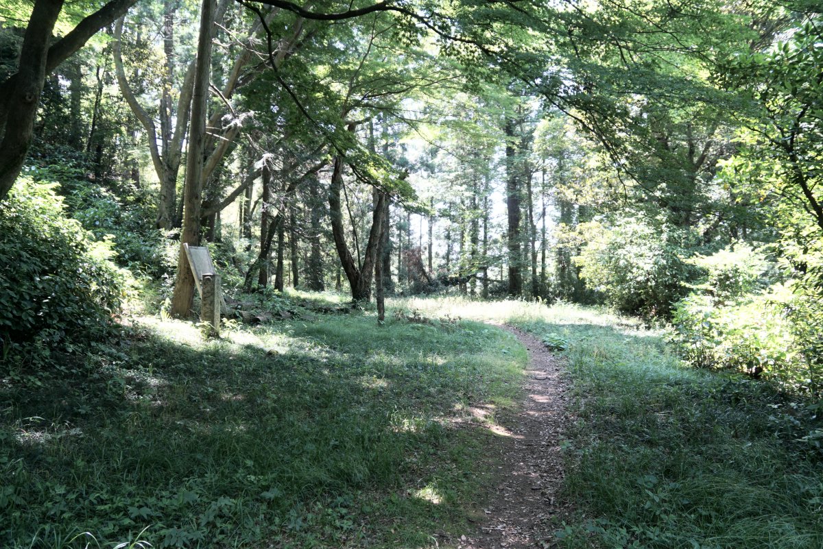 f:id:san-nin-syu:20200808084642j:plain