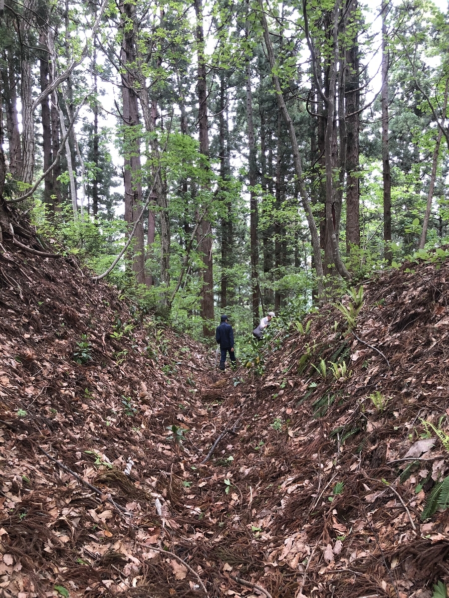 f:id:san-nin-syu:20210621144542j:plain