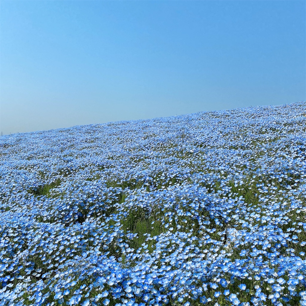 海浜公園とは 社会の人気 最新記事を集めました はてな