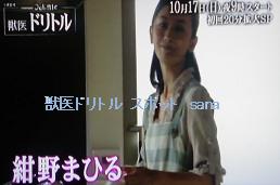 f:id:sanahanna:20101010223258j:image