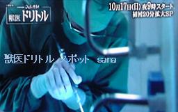 f:id:sanahanna:20101010223306j:image