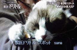 f:id:sanahanna:20101010223312j:image