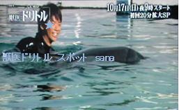 f:id:sanahanna:20101010223527j:image